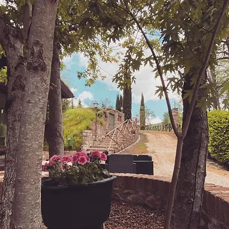 Le Querce Di * Assisi